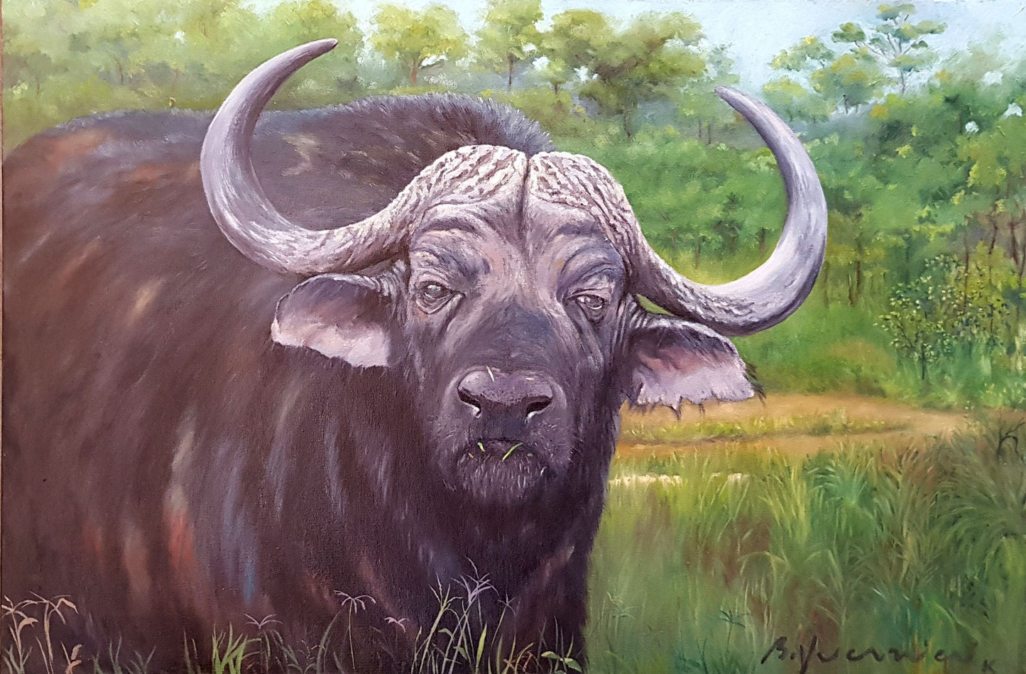Búfalo