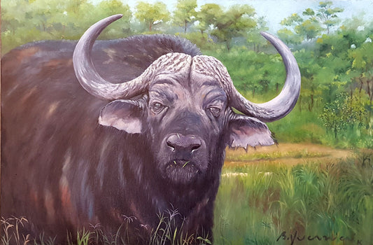 Búfalo